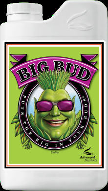 Big Bud® Mid Flowering Phase